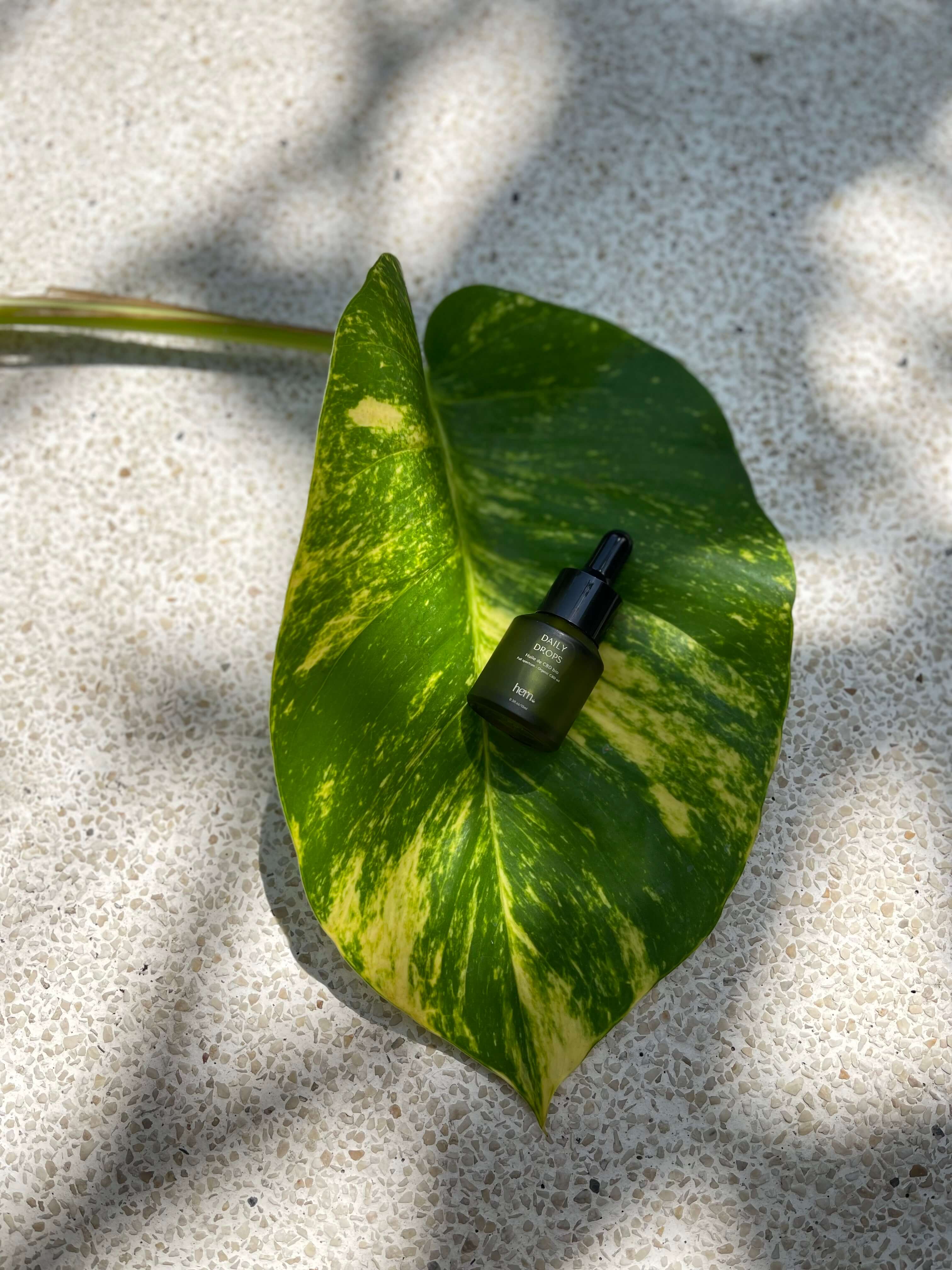 Bouteille daily drops sur feuille verte HEM